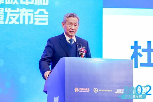 能源高质量发展应实现'可能三角'——杜祥琬院士解析经济信息咨询